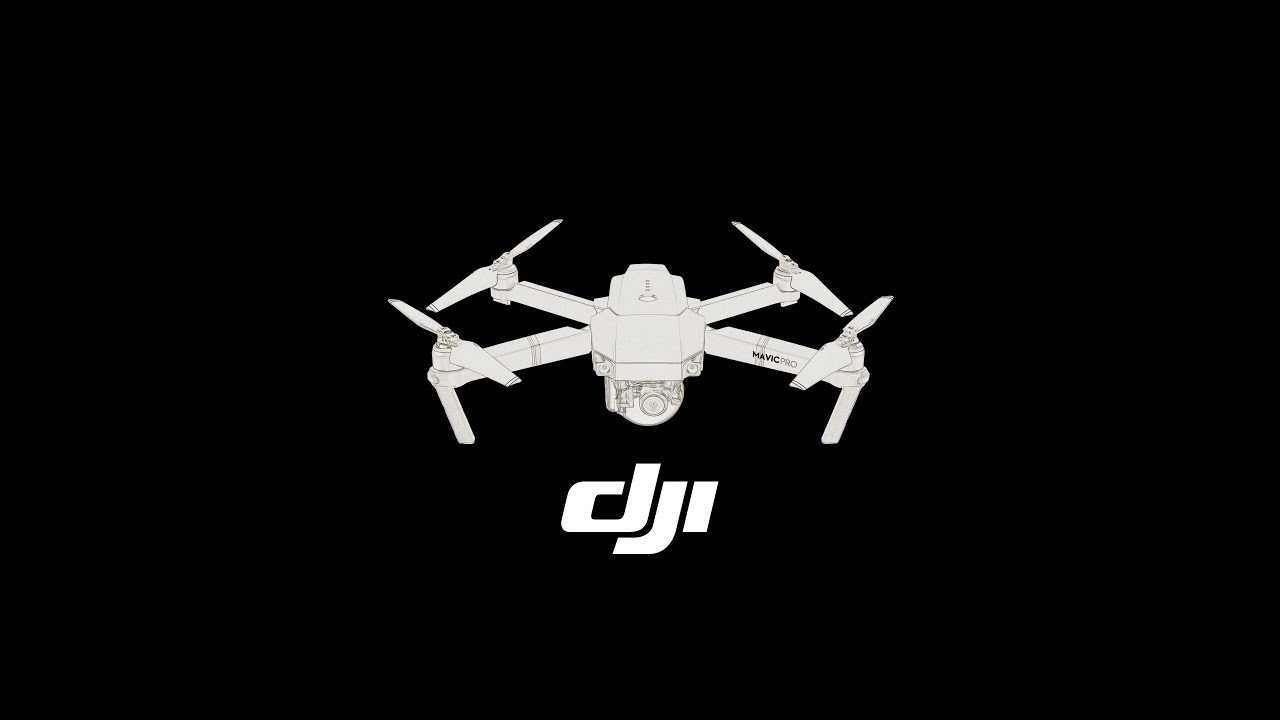 Dji