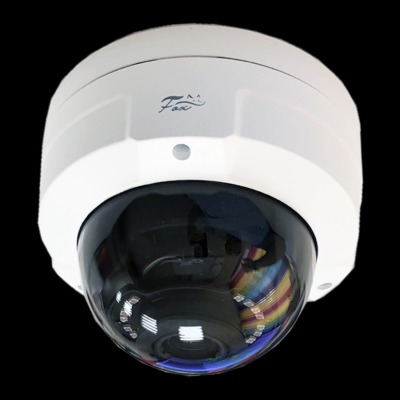 IP камера Fox FX IPC D20AP IR LS