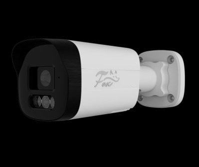 IP видеокамера Fox FX IPC H4C WIR 4мп