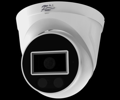 IP видеокамера Fox FX IPC H4D WIR 4мп
