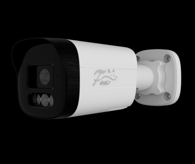 IP видеокамера Fox FX IPC H2C WIR 2мп