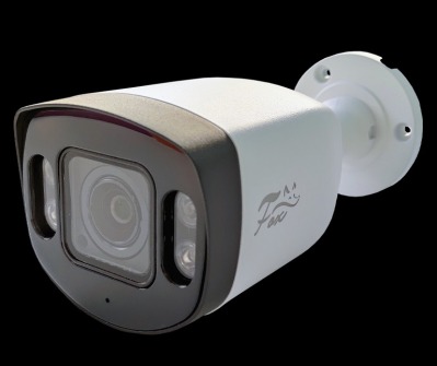 IP камера Fox FX IPC C450FP OC