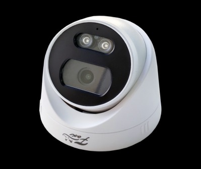 IP камера Fox FX IPC D450FP OC