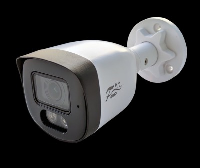 TVI видеокамера Fox FX C20F IR MIC