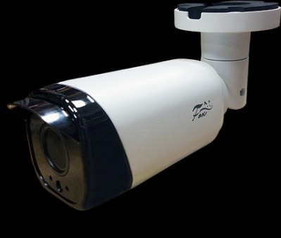 IP видеокамера Fox FX IPC C20VP IR LS