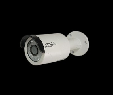 IP видеокамера Fox FX IPC C20AP IR LS